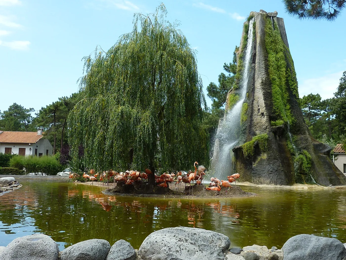 Flamants roses et bassin paysager au Zoo de La Palmyre